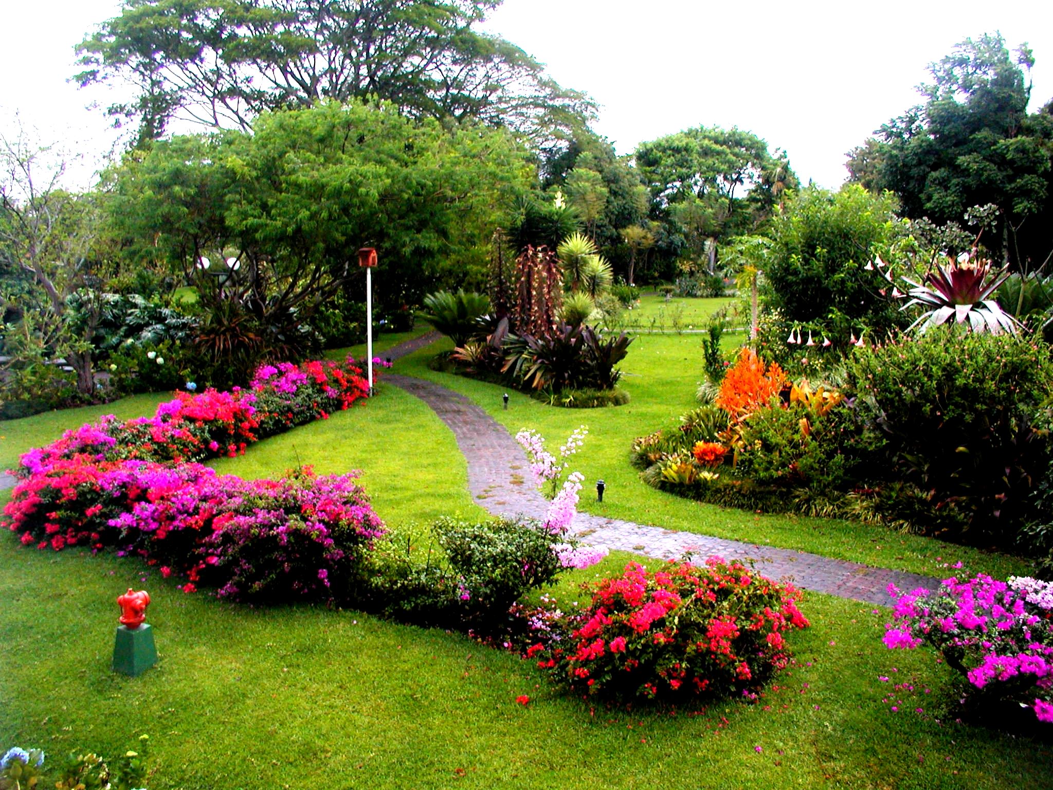 Giàn hoa giấy dịu êm